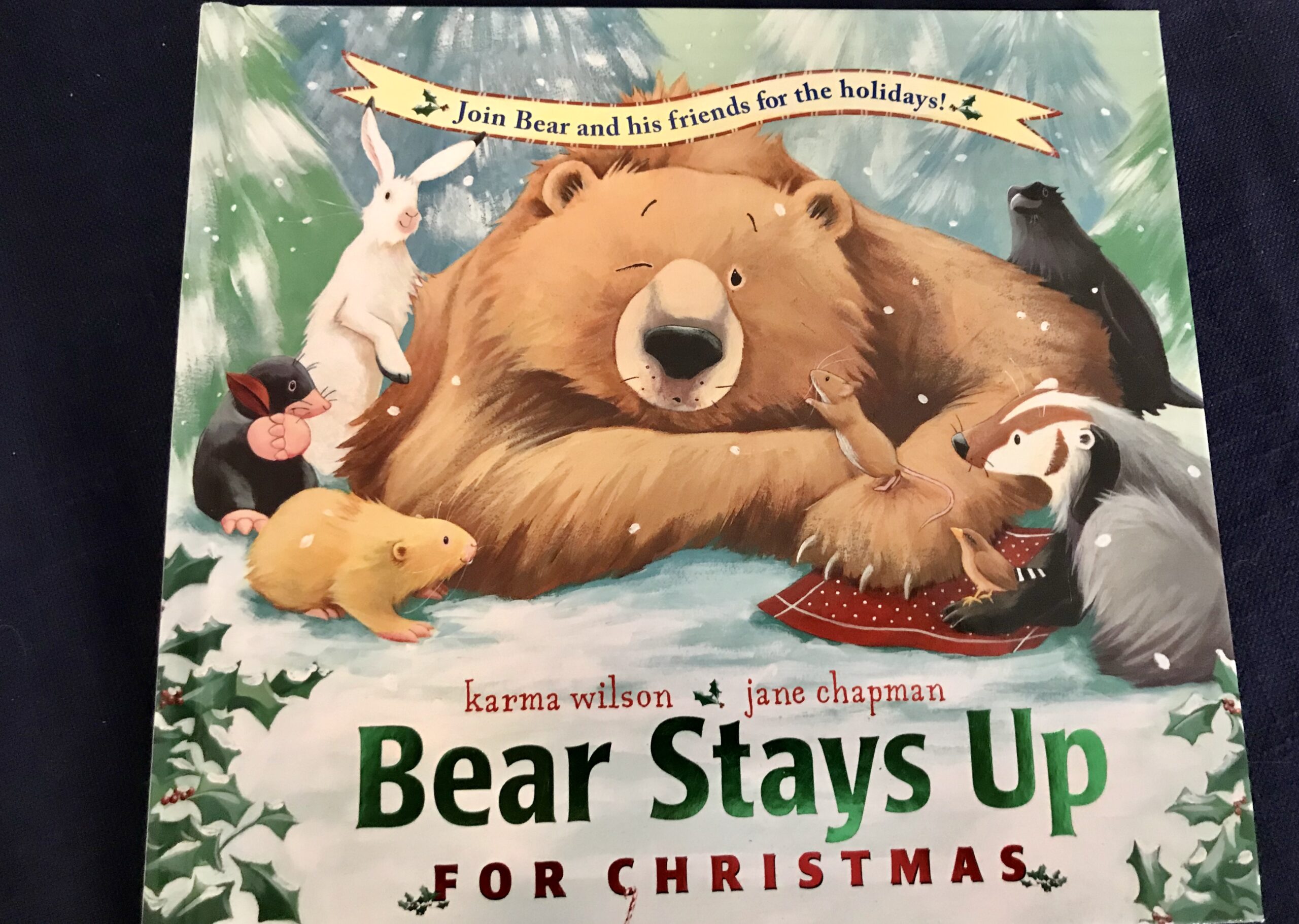 Bear Stays Up For Christmas Santa Visits USA